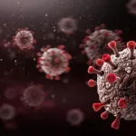 apa itu varian c.1.2