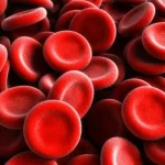 Kode 10 Anemia Gravis