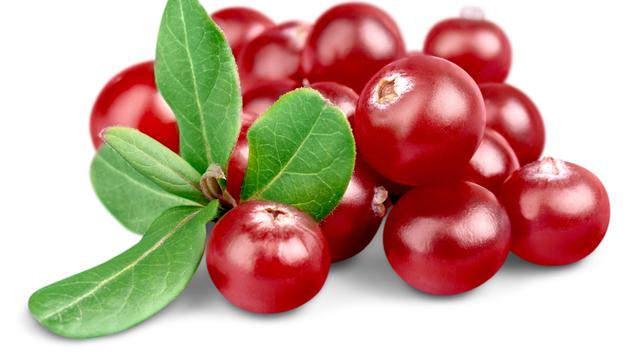 Manfaat Cranberry Bagi Kesehatan Tubuh