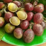 Manis Tinggi Khasiat! Inilah 20 Manfaat Buah Matoa bagi Kesehatan Tubuh