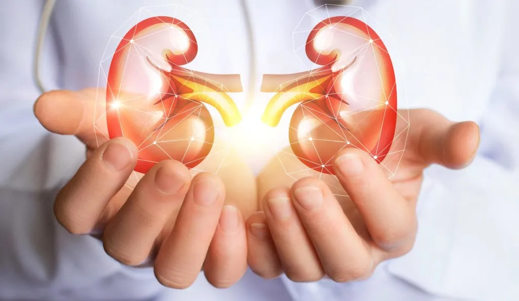 Cara Menjaga Kesehatan Ginjal Tanpa Obat